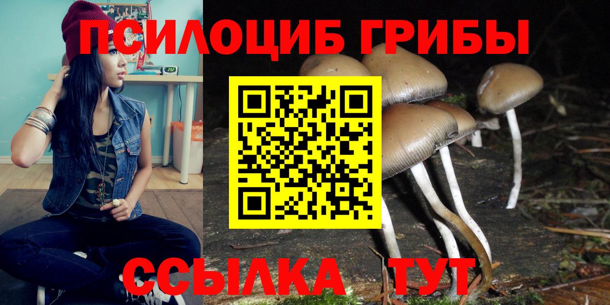 Псилоцибиновые грибы MAGIC MUSHROOMS Кимовск